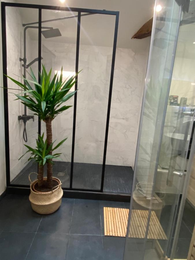 Charmant Appartement Avec Spa Fontenay-le-Comte Bagian luar foto